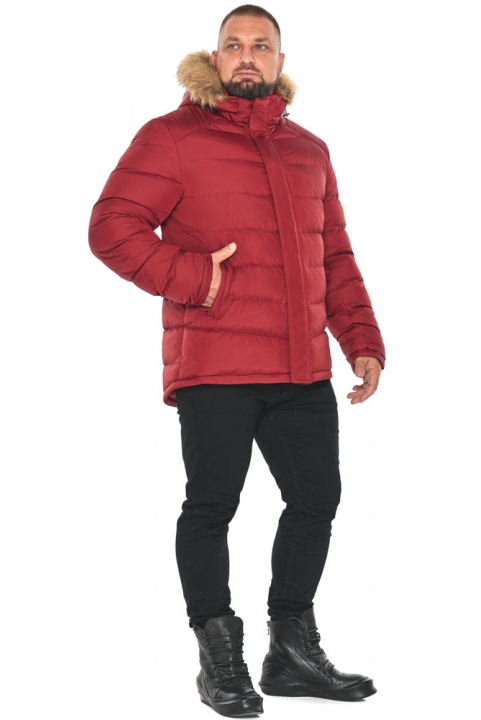 Мужская бордовая куртка с манжетами модель 49868 Braggart "Aggressive" фото 1