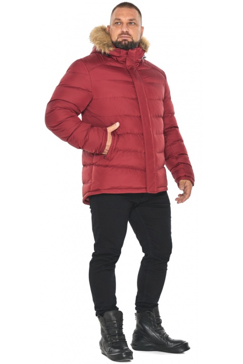 Чоловіча бордова куртка з манжетами модель 49868 Braggart "Aggressive" фото 1